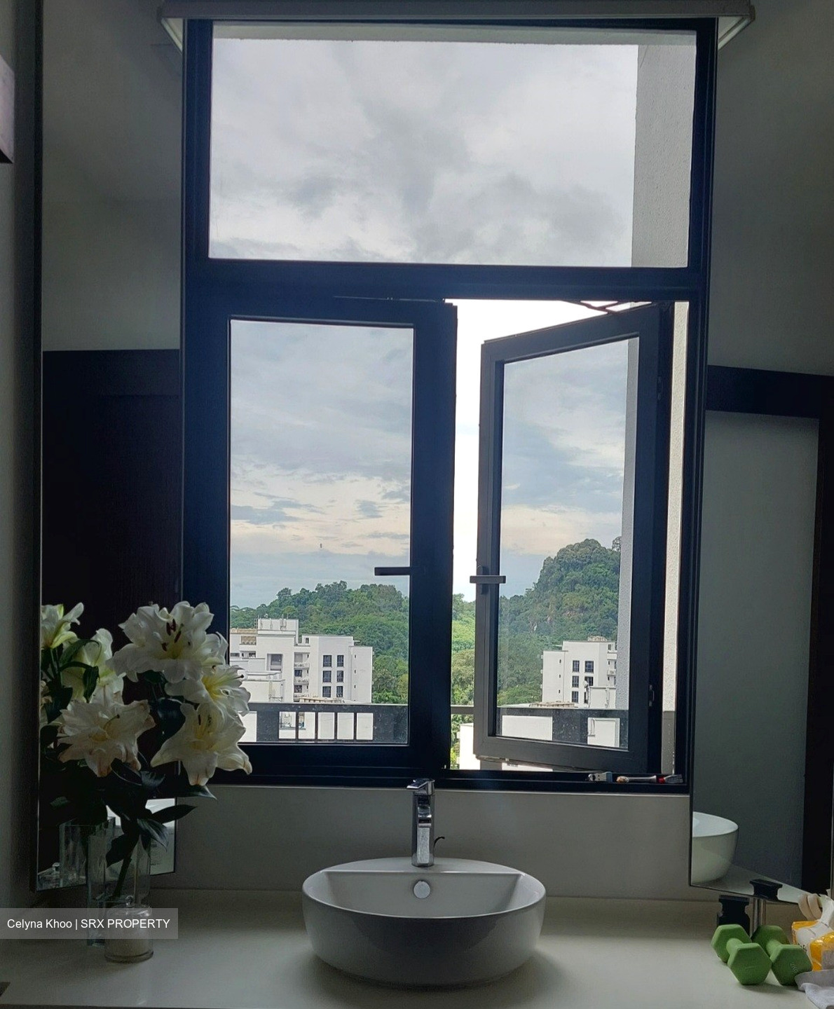 The Hillier (D23), Apartment #555286951